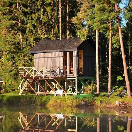 Dragon House In The Tree! Jacuzzi, Sauna ,Cinema,Heated Lici  Eksteriør bilde