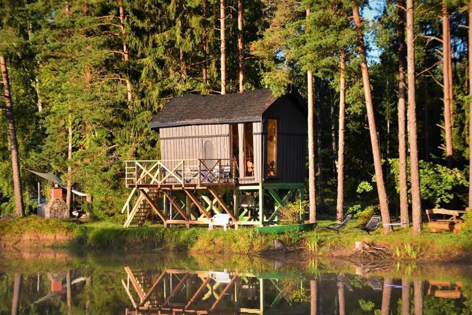 Dragon House In The Tree! Jacuzzi, Sauna ,Cinema,Heated Lici  Eksteriør bilde