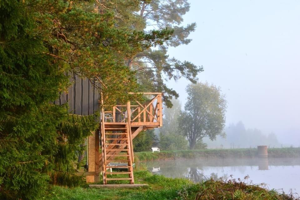 Dragon House In The Tree! Jacuzzi, Sauna ,Cinema,Heated Lici  Eksteriør bilde