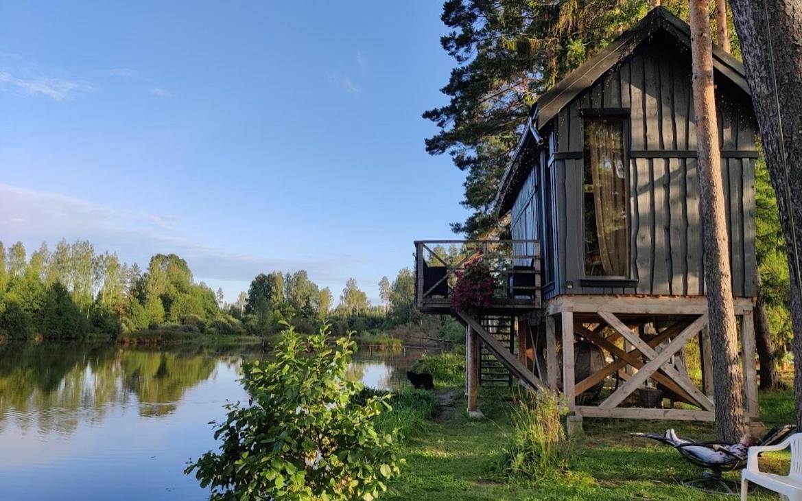 Dragon House In The Tree! Jacuzzi, Sauna ,Cinema,Heated Lici  Eksteriør bilde